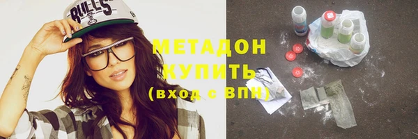 сатива Новодвинск