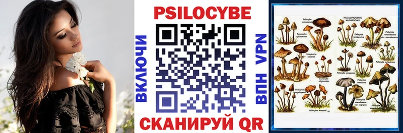 Галлюциногенные грибы MAGIC MUSHROOMS  сколько стоит  Калининск 